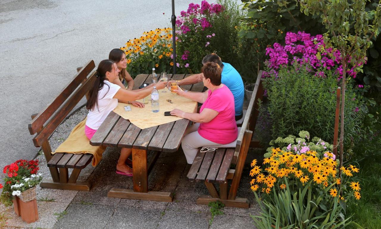 Apartments Haufhof , Haus Im Ennstal Bei Schladming Экстерьер фото