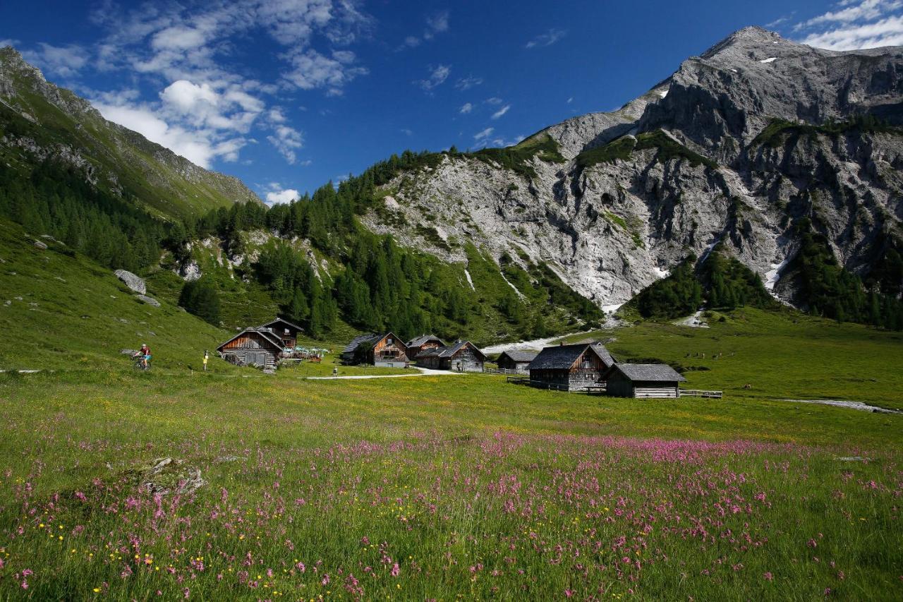 Apartments Haufhof , Haus Im Ennstal Bei Schladming Экстерьер фото