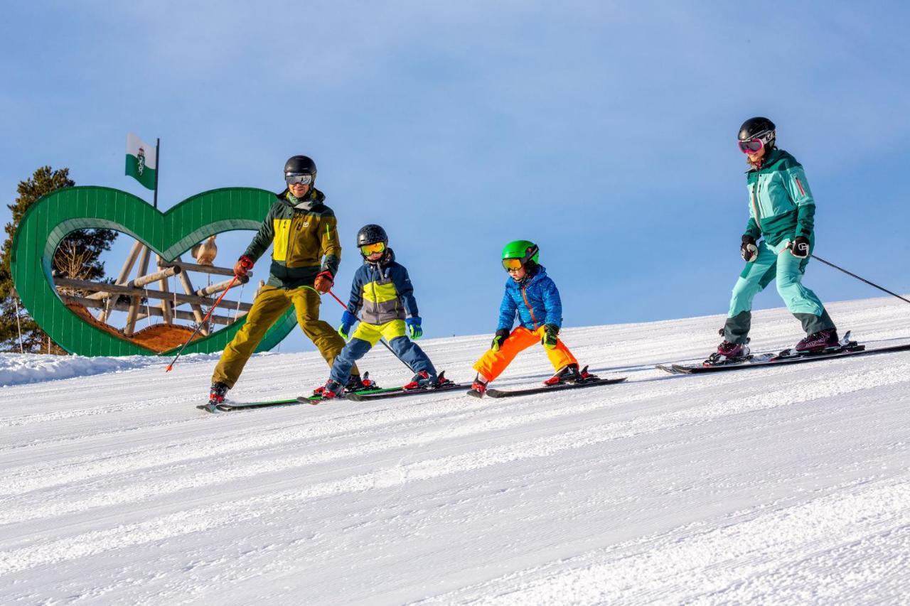Apartments Haufhof , Haus Im Ennstal Bei Schladming Экстерьер фото